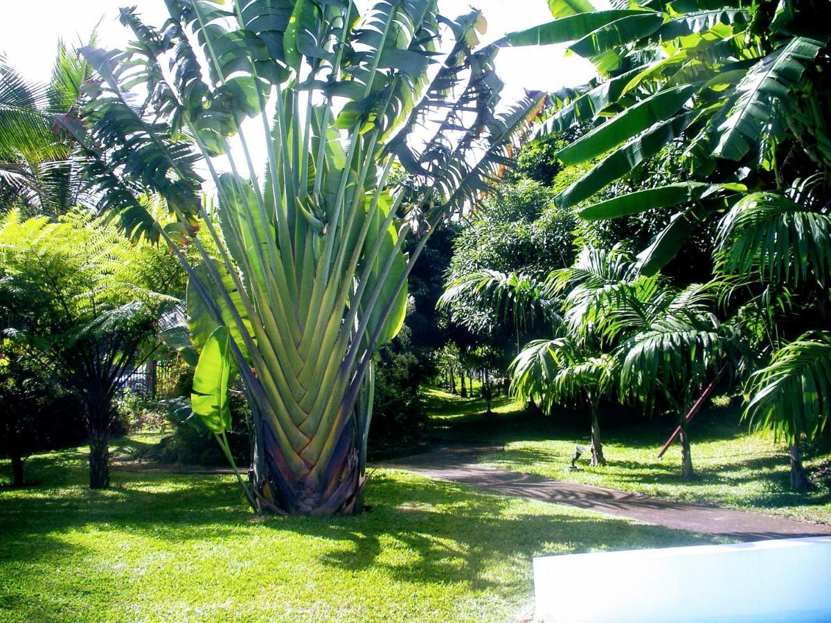 Villa Arbre Du Voyageur, 4 Etoiles Et 4 Clevacances Noël Exteriör bild